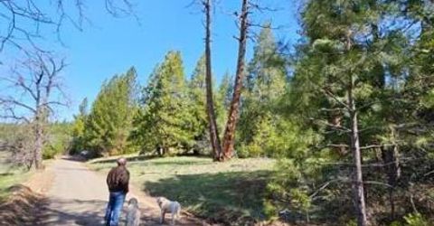 3 Indian Diggins Rd, Somerset, CA 95684 Photo