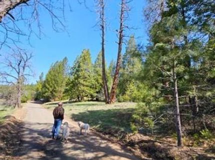 3 Indian Diggins Rd, Somerset, CA 95684 Photo