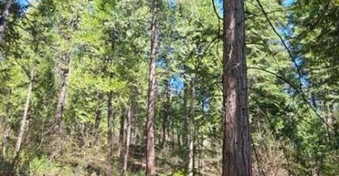 3 Indian Diggins Rd, Somerset, CA 95684 Photo