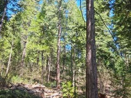 3 Indian Diggins Rd, Somerset, CA 95684 Photo