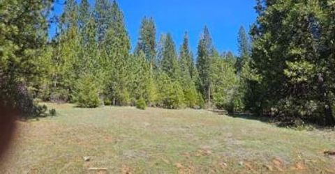 3 Indian Diggins Rd, Somerset, CA 95684 Photo