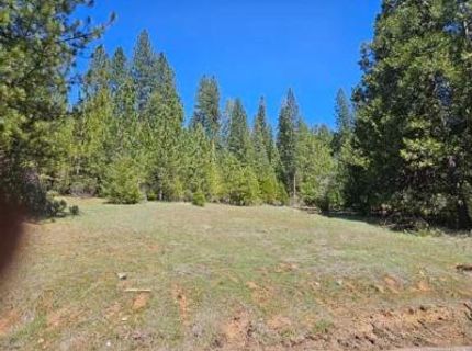 3 Indian Diggins Rd, Somerset, CA 95684 Photo