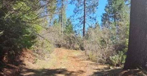 3 Indian Diggins Rd, Somerset, CA 95684 Photo