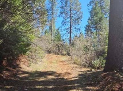 3 Indian Diggins Rd, Somerset, CA 95684 Photo