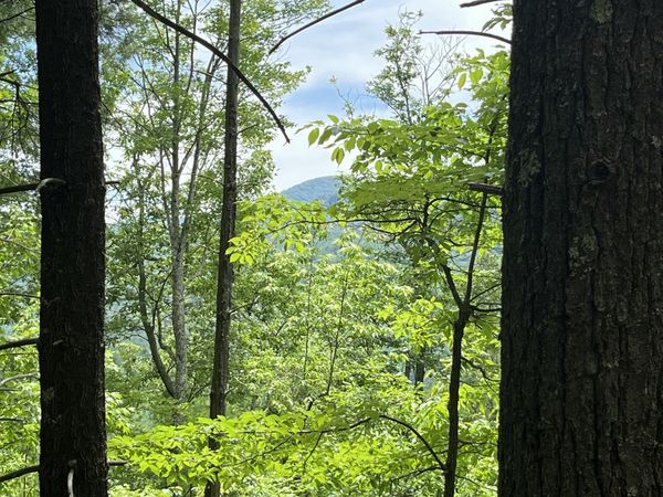 0 Gulf Road, Hartford, TN 37753