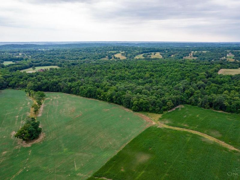 4380 Howards Creek Road, Morgan Twp, OH 45053 Photo 10