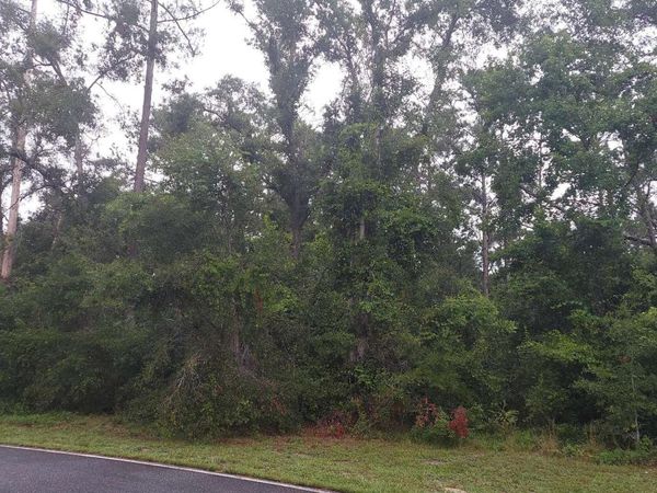 TBD WILDWOOD CIR- LOT 16, Dowling Park, FL 32064