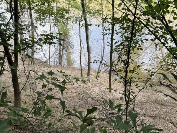 0 S Hwy 43, Columbia, MS 39492