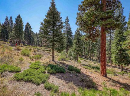 2785 Cross Cut Court, Truckee, CA 96161 Photo