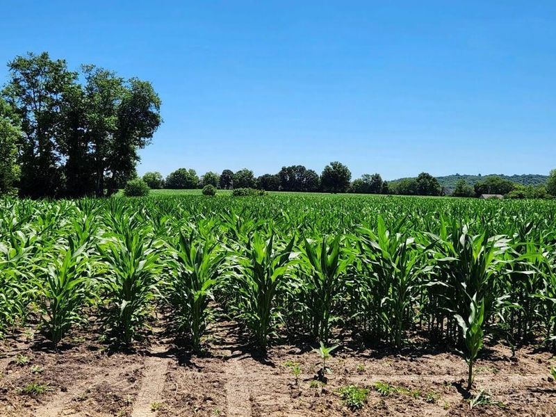 acres Edgewood Road, Crosby Twp, OH 45030 Photo 13