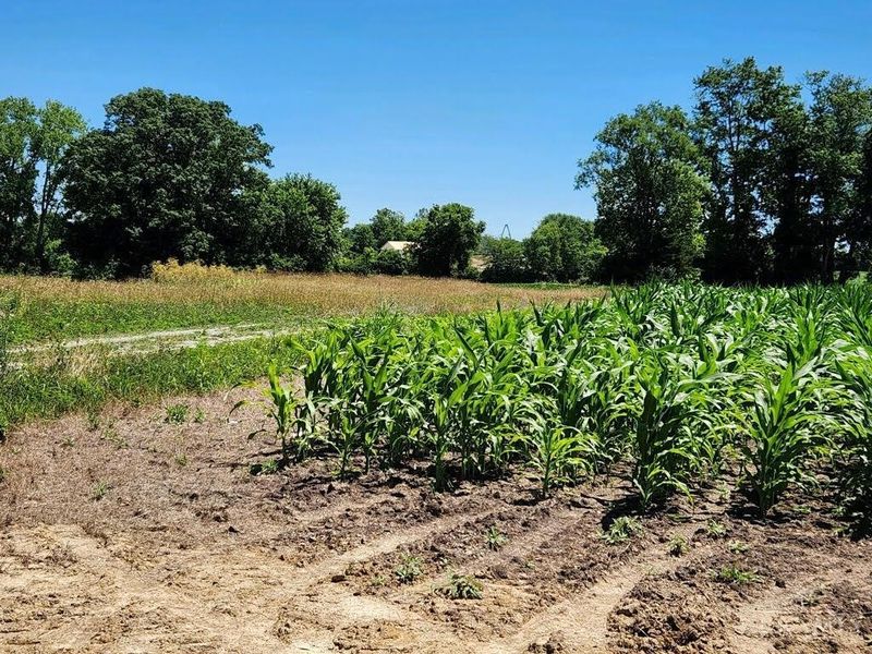 acres Edgewood Road, Crosby Twp, OH 45030 Photo 14