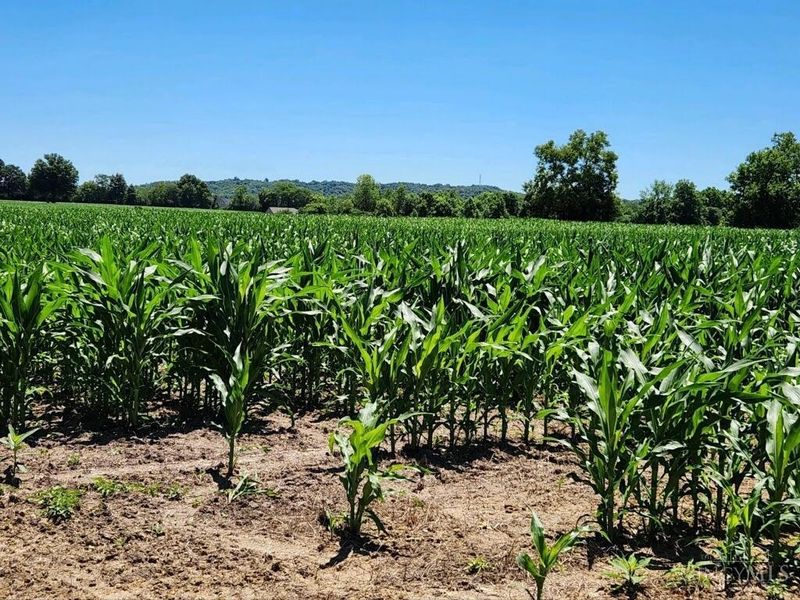 acres Edgewood Road, Crosby Twp, OH 45030 Photo 15