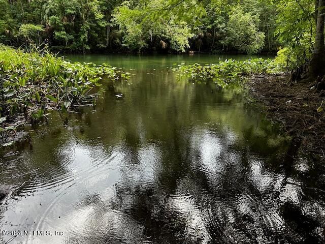 7205 NE 61st Avenue Road, Silver Springs, FL 34488 Photo