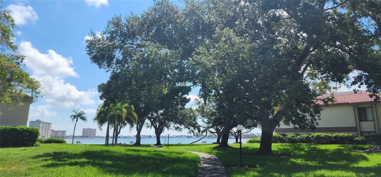 6219 Palma Del Mar Boulevard S, Unit 206, Saint Petersburg, FL 33715 Photo