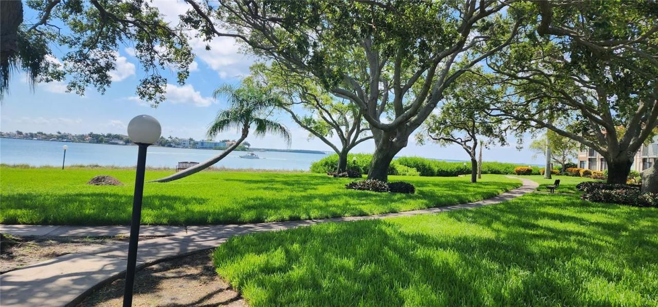 6219 Palma Del Mar Boulevard S, Unit 206, Saint Petersburg, FL 33715 Photo