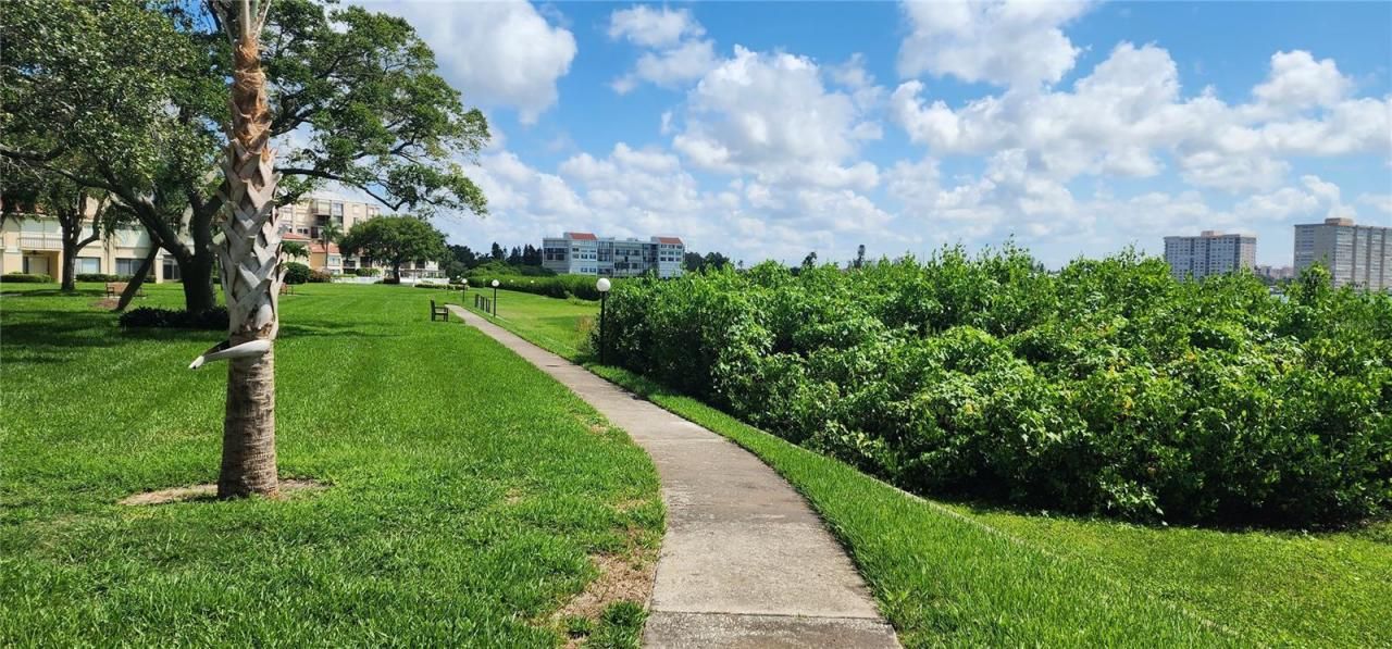 6219 Palma Del Mar Boulevard S, Unit 206, Saint Petersburg, FL 33715 Photo