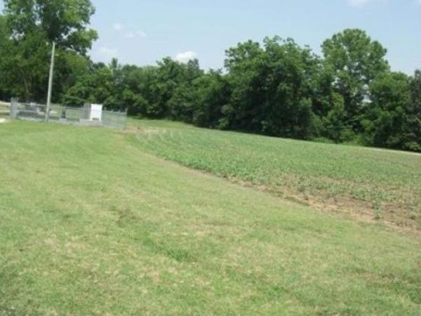 0 29.71 ACRES HWY 196/MAIN ST HWY, Gallaway, TN 38036