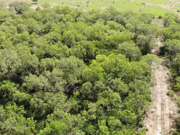 00 10th Street, Christine, TX 78064