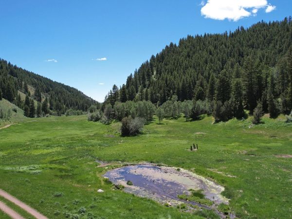 TBD Bull Canyon Road, Rockland, ID 83271