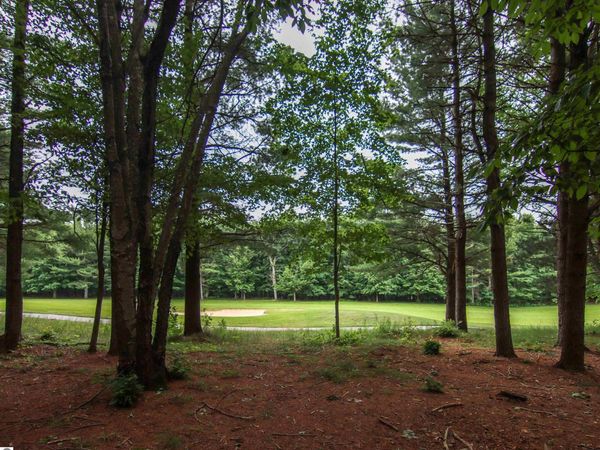 Trailside Drive, Thompsonville, MI 49683
