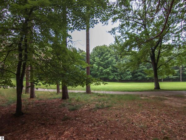 Trailside Drive, Thompsonville, MI 49683