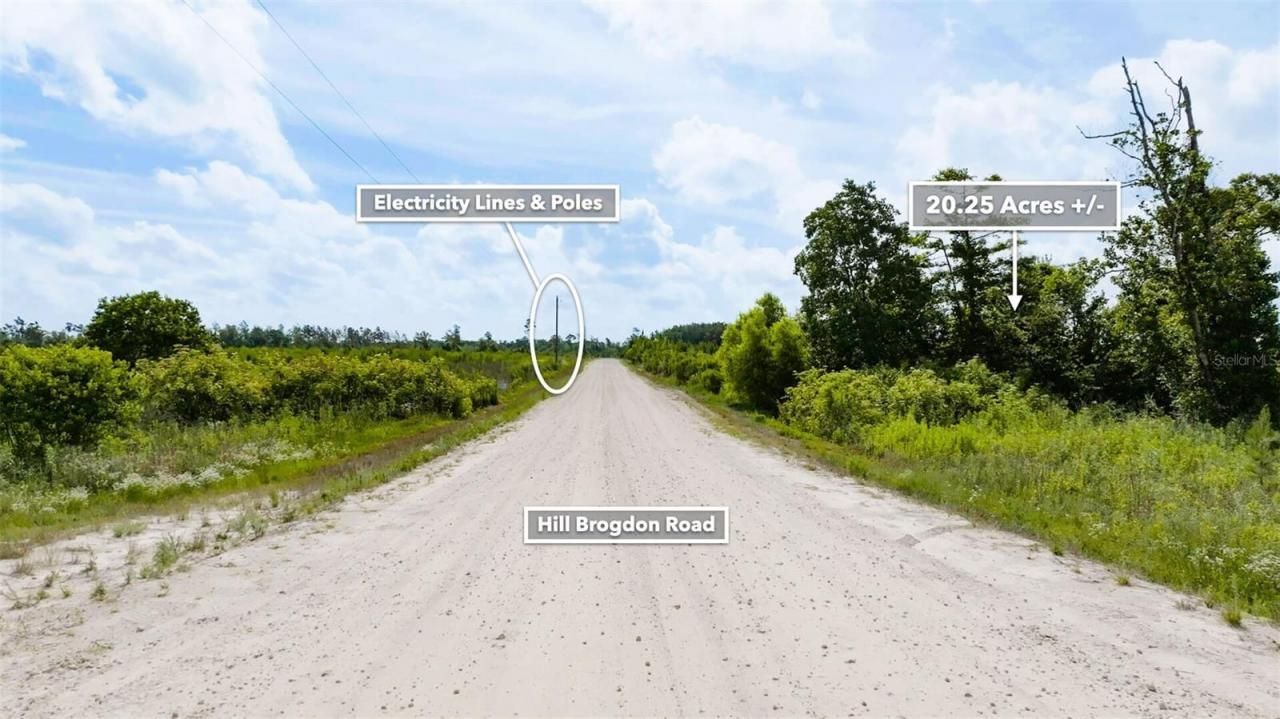 Sr 71 S, Wewahitchka, FL 32449 Photo