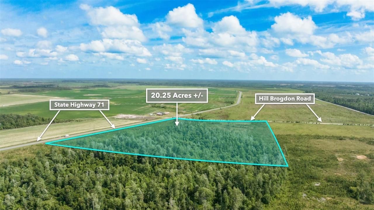 Sr 71 S, Wewahitchka, FL 32449 Photo