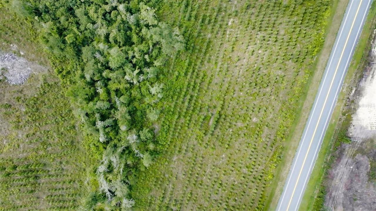 Sr 71 S, Wewahitchka, FL 32449 Photo