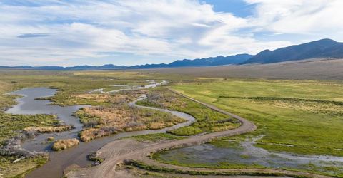 10977 Austin Road, Austin, NV 89310 Photo