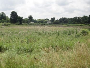 Burbank & Erie Street, Creston, OH 44217