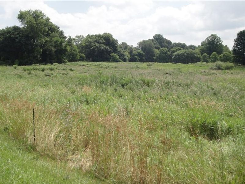 Burbank & Erie Street, Creston, OH 44217 Photo 2