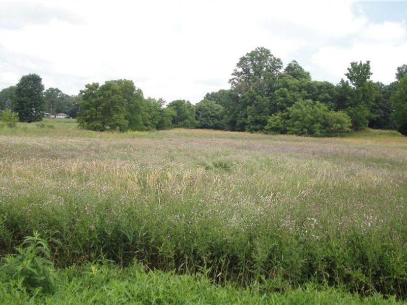 Burbank & Erie Street, Creston, OH 44217 Photo 3