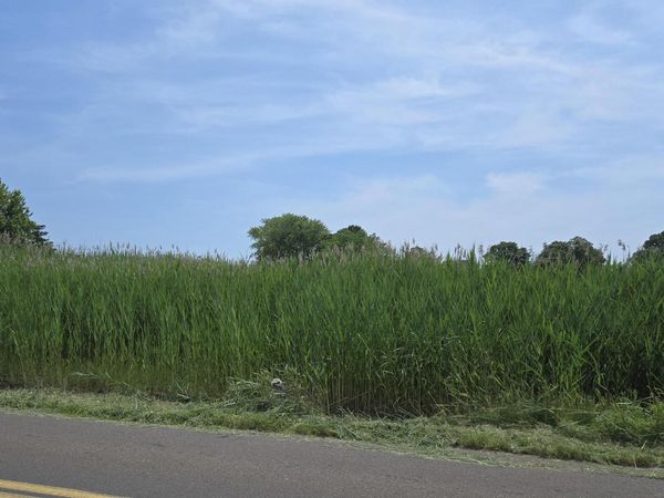 Causeway, Clinton, CT 06413