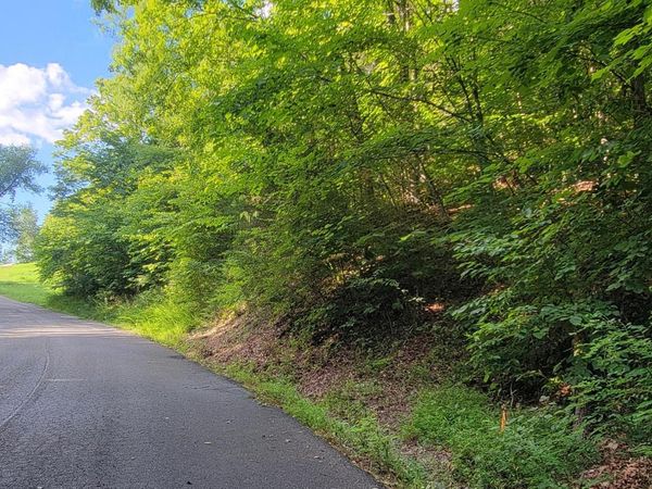 Lakeshore Dr (Lot 36) Way, Newport, TN 37821