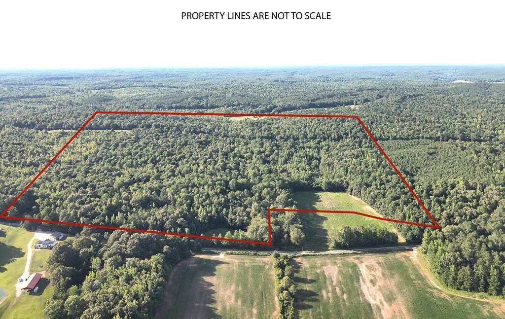 000 Kirk Trail, Holladay, TN 38341 Main Photo