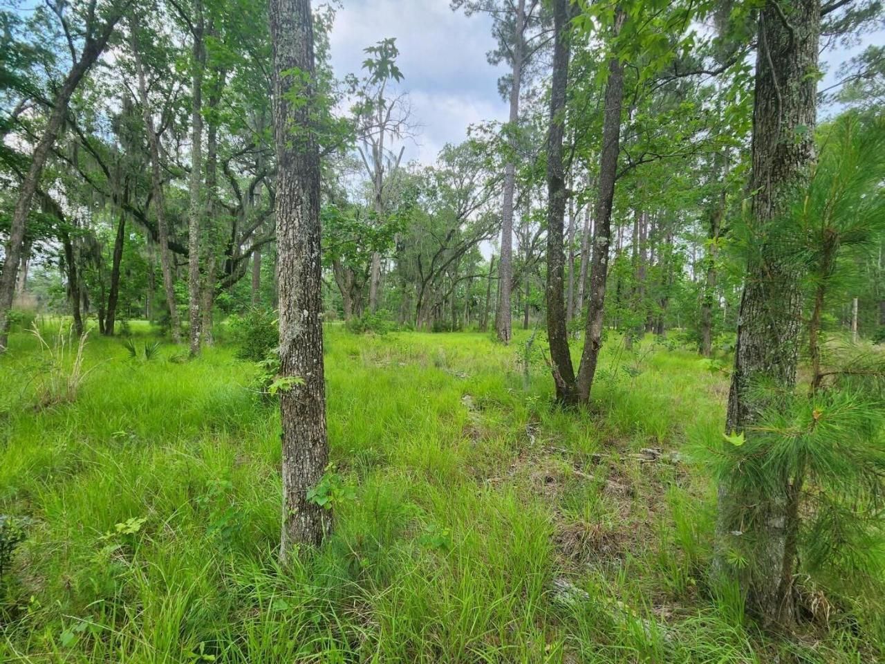 0 Bridal Path Boulevard Photo 15