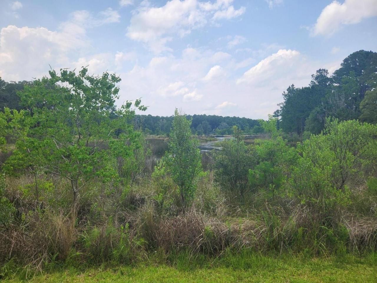 0 Bridal Path Boulevard Photo 16