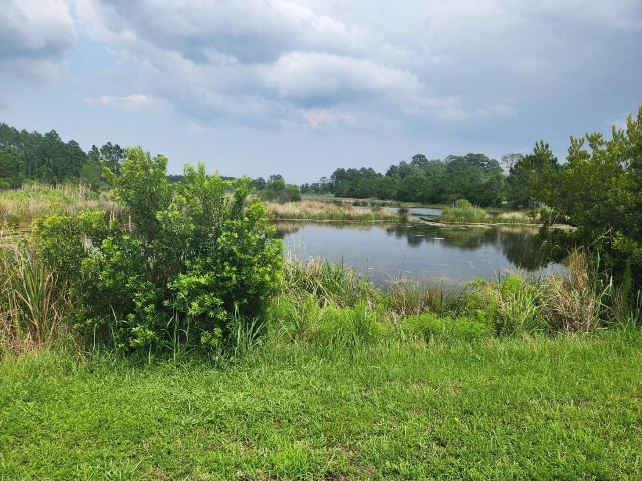 0 Bridal Path Boulevard Photo 17