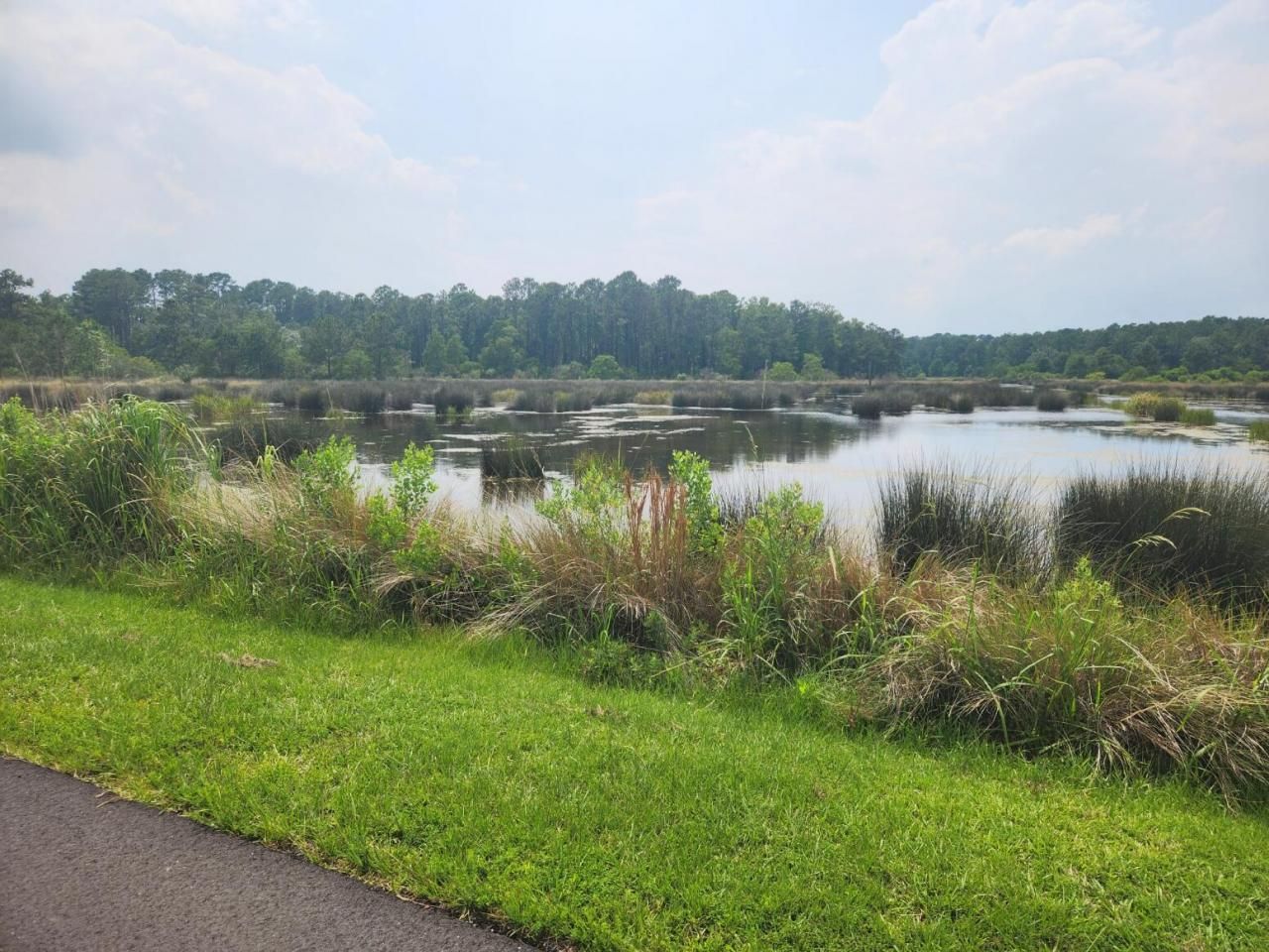 0 Bridal Path Boulevard Photo 18