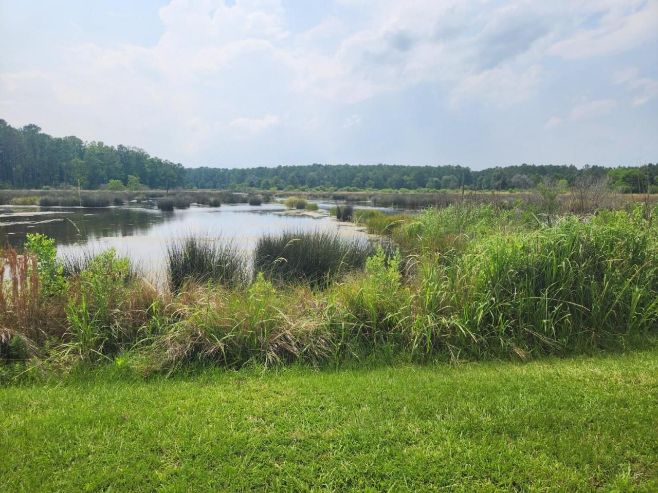 0 Bridal Path Boulevard Photo 19