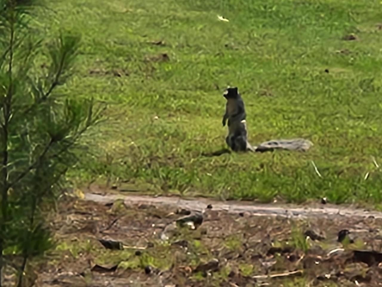 0 Bridal Path Boulevard Photo 20