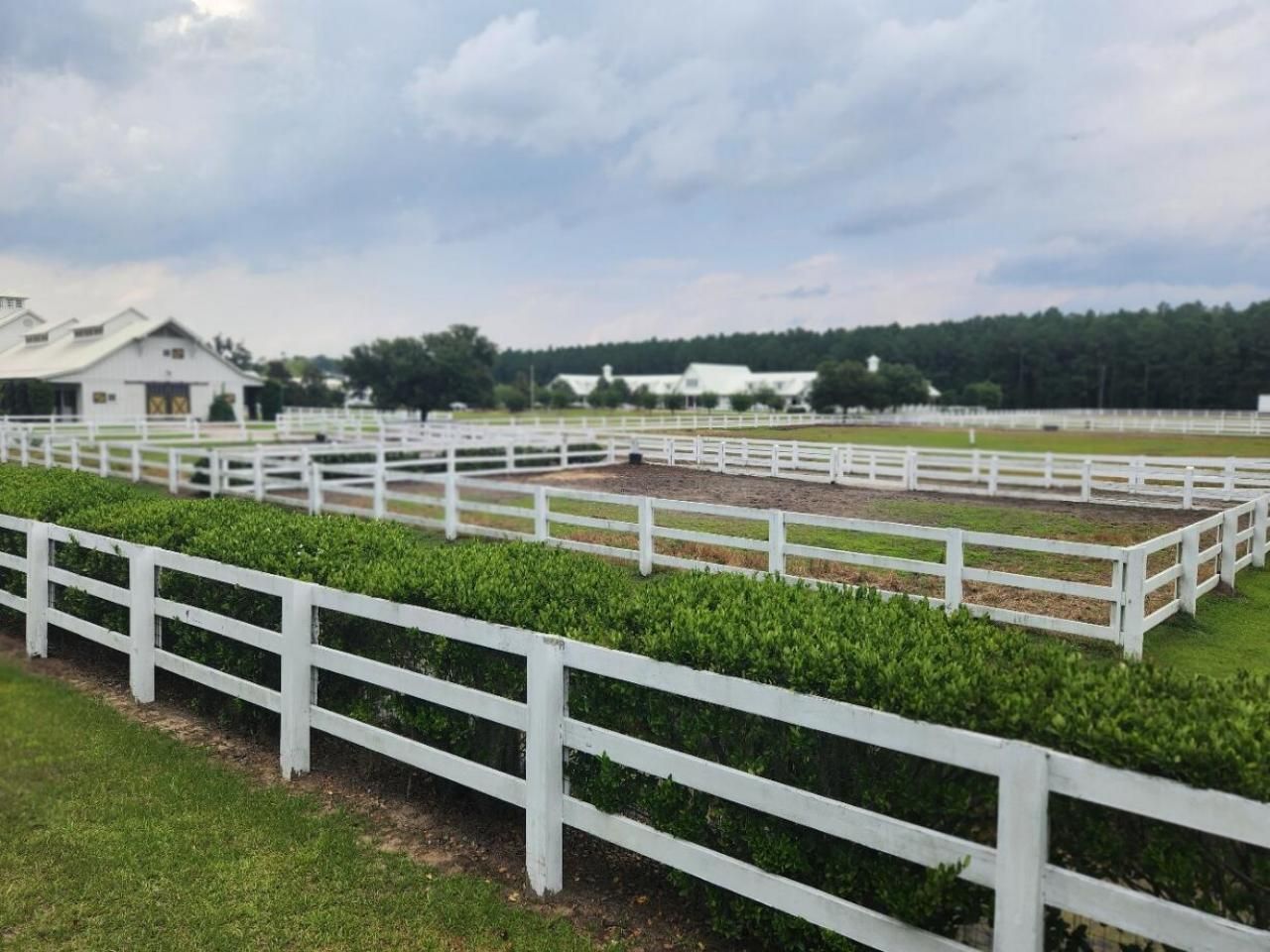 0 Bridal Path Boulevard Photo 22