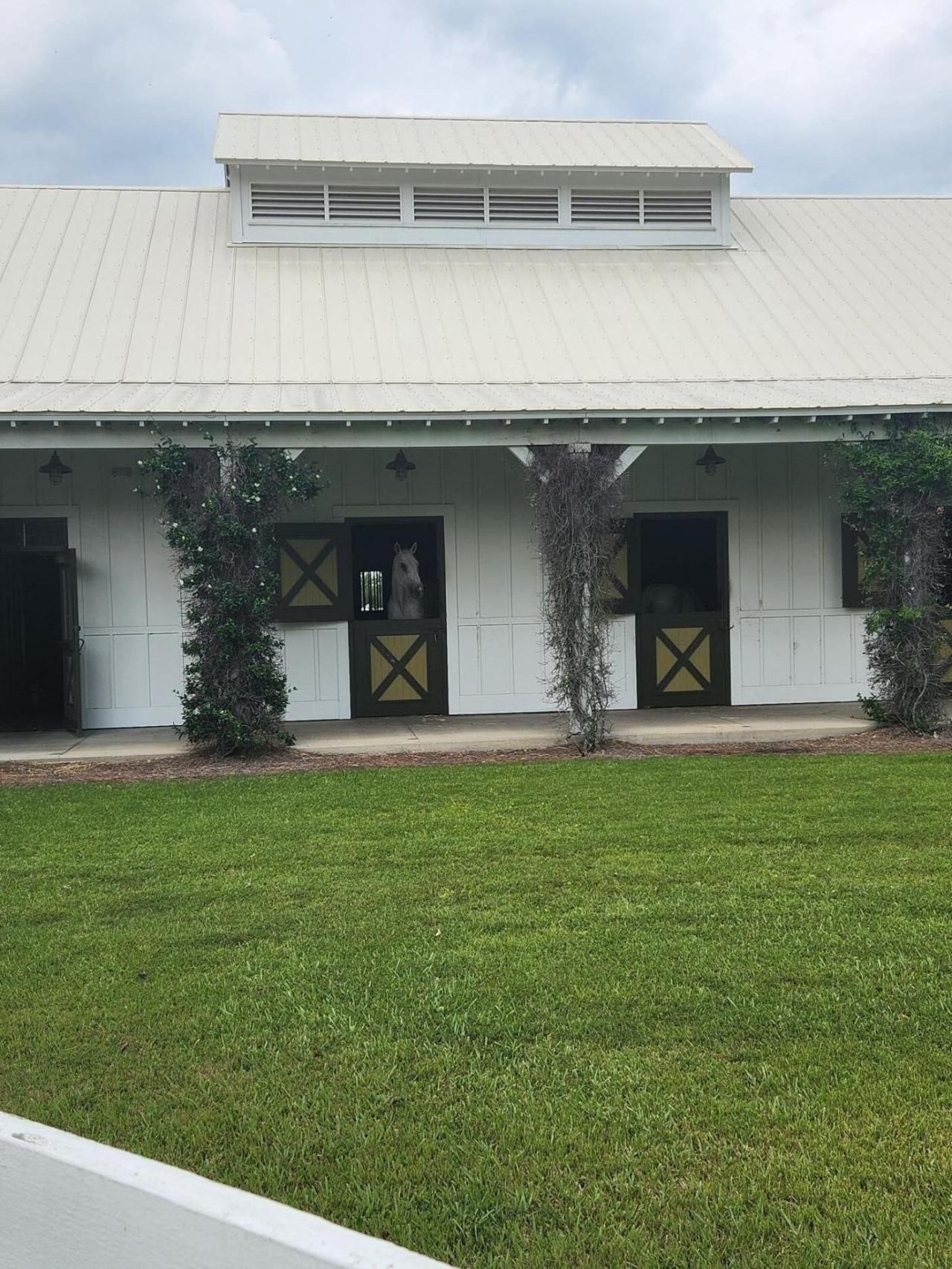 0 Bridal Path Boulevard Photo 26