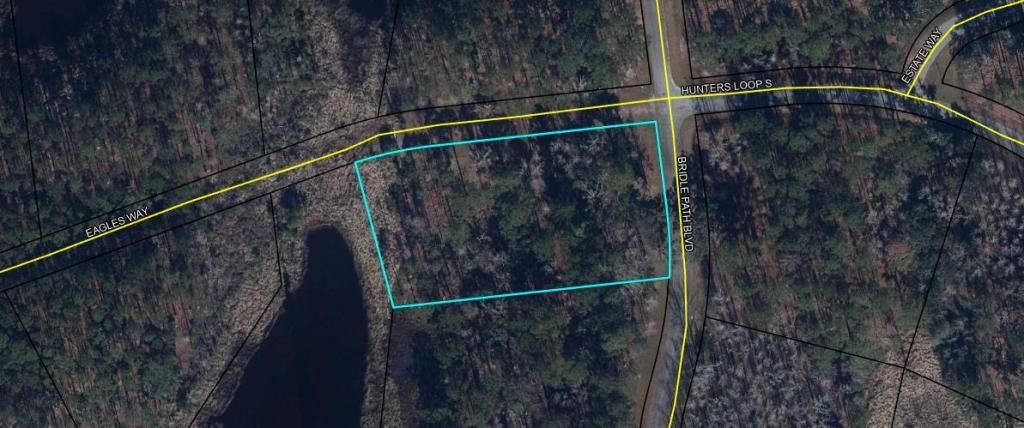 0 Bridal Path Boulevard Photo 32