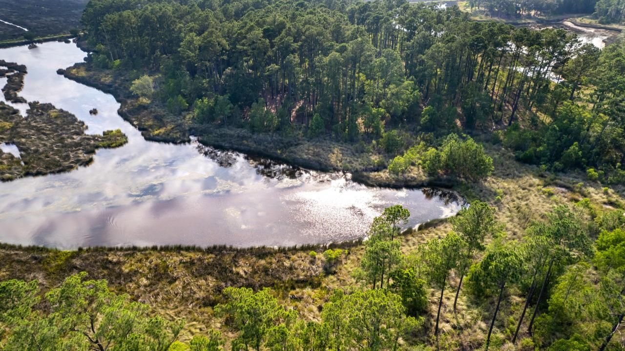 0 Bridal Path Boulevard Photo 34