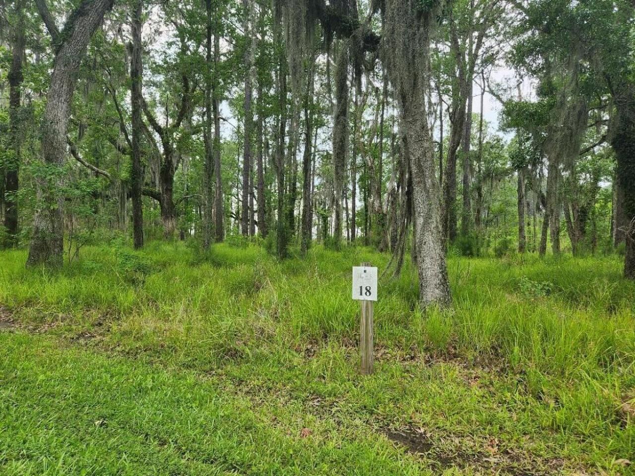 0 Bridal Path Boulevard Photo 4