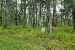 0 Bridal Path Boulevard photo 4