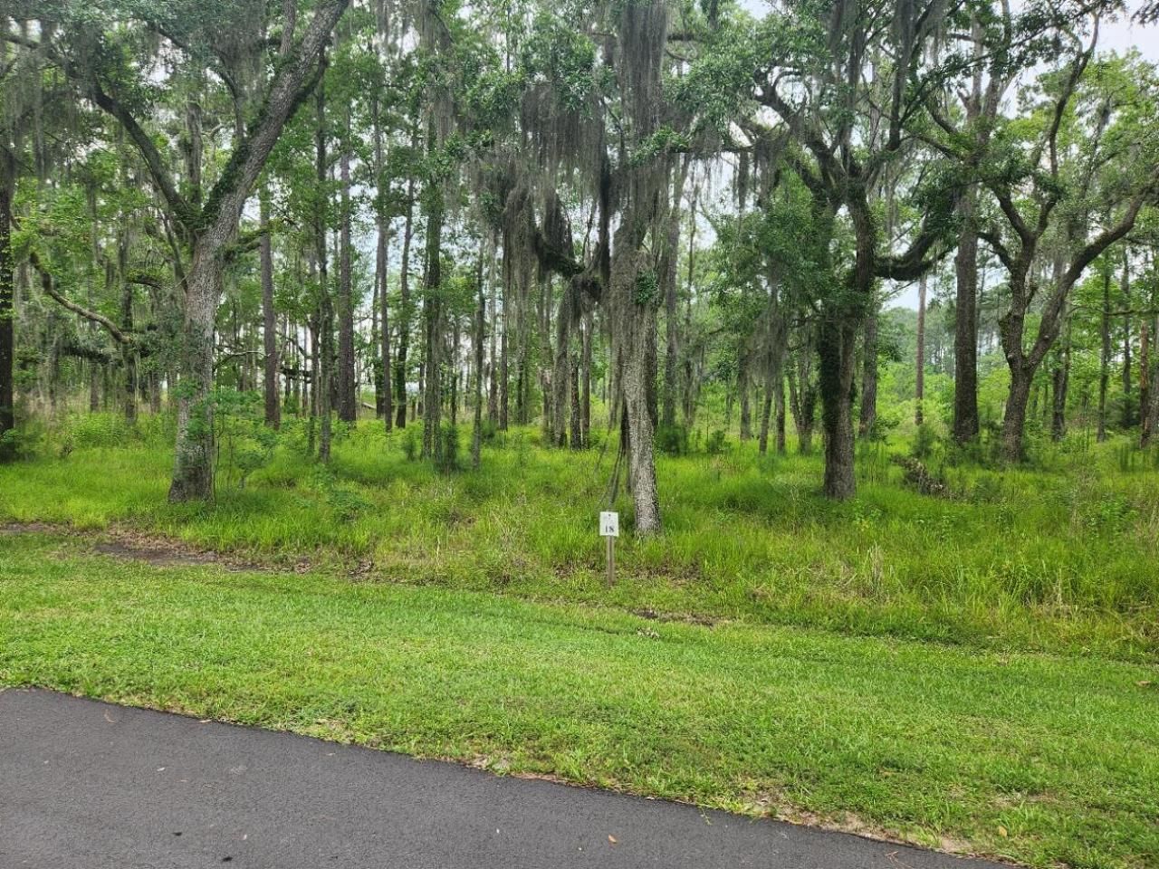 0 Bridal Path Boulevard Photo 5