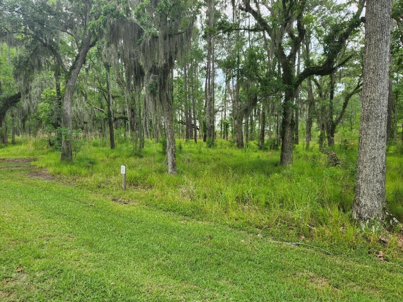 0 Bridal Path Boulevard Photo 6