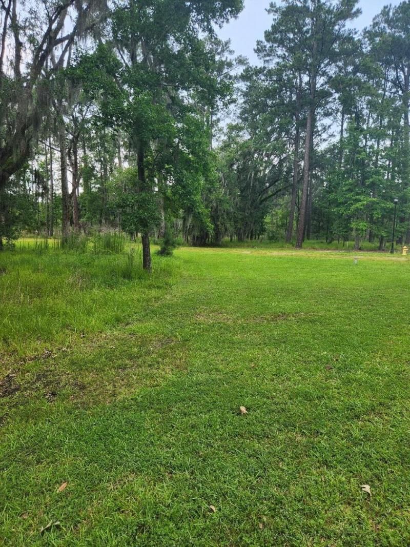 0 Bridal Path Boulevard Photo 8